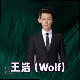 王浩 (Wolf)
